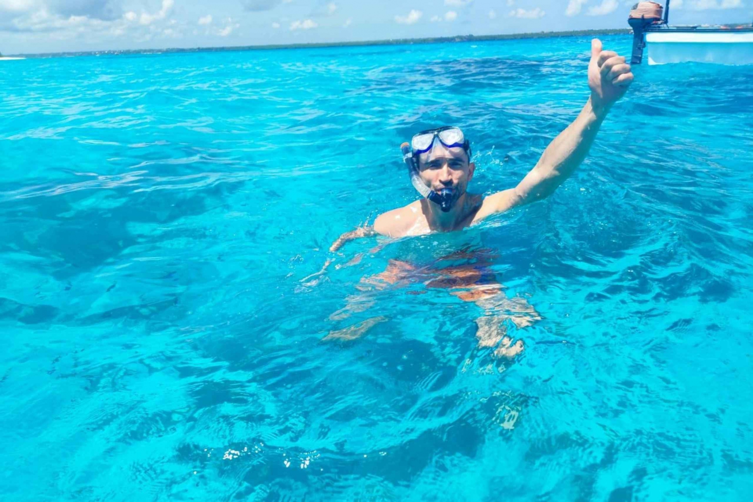 ムンバ島：ドルフィンスイム&スノーケリング（オプションのランチ付き）