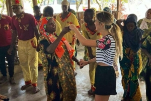 Delfinön + snorkling, Salaam-grottan och Jozani-skogen