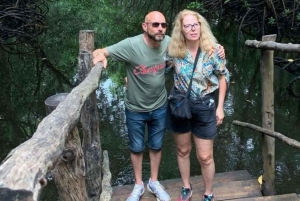 Delfinön + snorkling, Salaam-grottan och Jozani-skogen