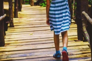 Delfinön + snorkling, Salaam-grottan och Jozani-skogen