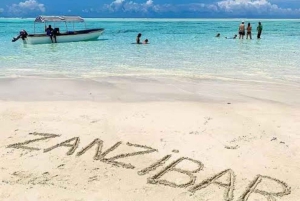 Delfinön + snorkling, Salaam-grottan och Jozani-skogen