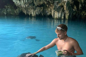 Delfinön + snorkling, Salaam-grottan och Jozani-skogen