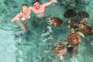 Delfinön + snorkling, Salaam-grottan och Jozani-skogen