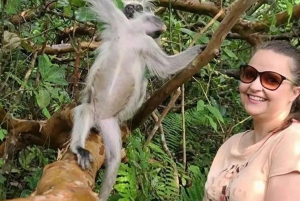 Delfinön + snorkling, Salaam-grottan och Jozani-skogen