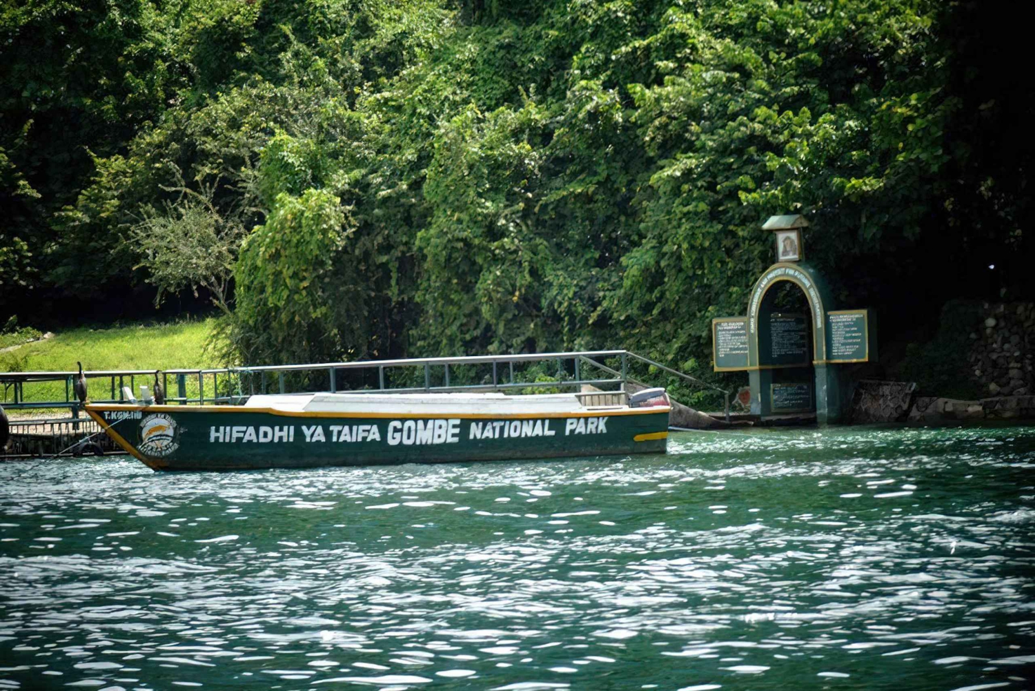 Przeżyj 3-dniową wyprawę śladami szympansów w Parku Narodowym Gombe Stream