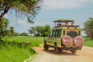 De Arusha: safari de 4 dias no Serengeti e Ngorongoro