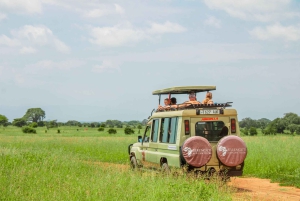 De Arusha: safari de 4 dias no Serengeti e Ngorongoro