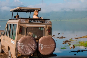 De Arusha: safari de 4 dias no Serengeti e Ngorongoro