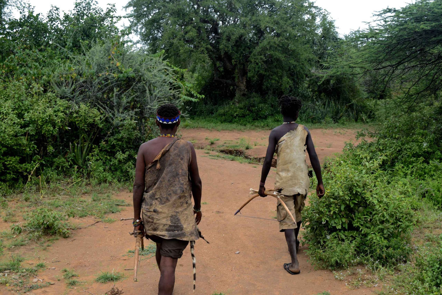 Arusha: wycieczka nad jezioro Eyasi, do wiosek plemion Datoga i Hadzabe