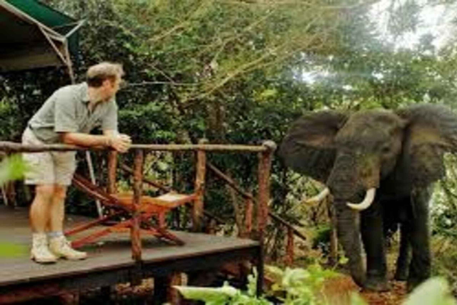 From Dar Es Salaam: Mikumi National Park 2 Nights and 3 Days