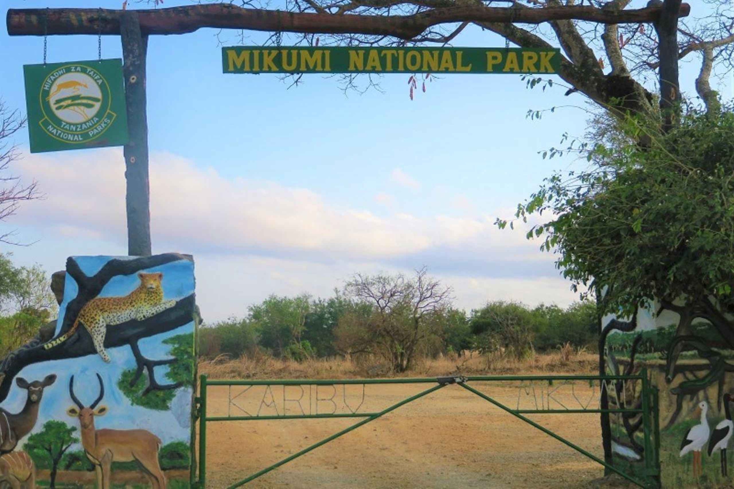 Fra Dar es Salaam: Dagstur til Mikumi nasjonalpark