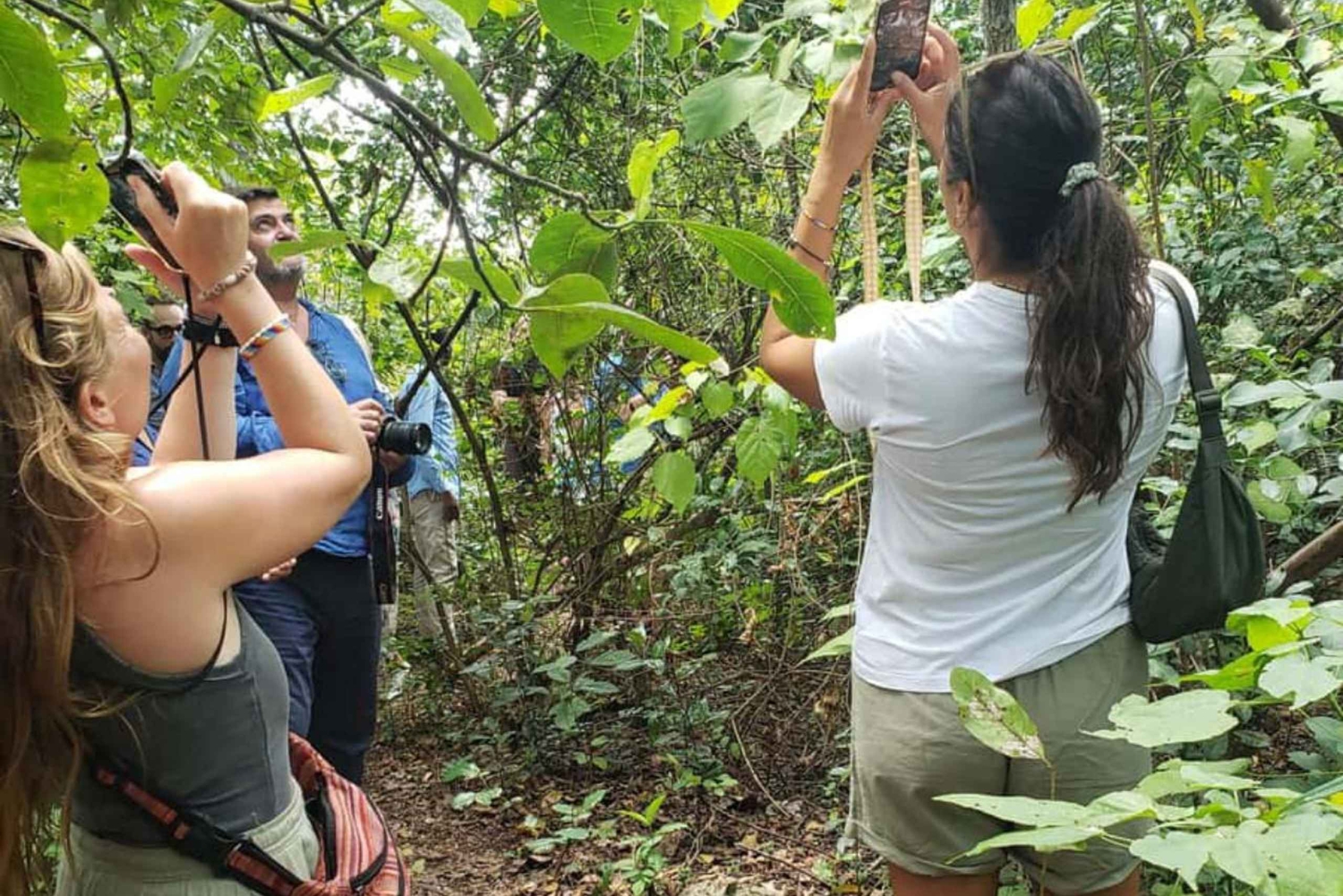 ジャングルからストーンタウンへ：ザンジバルの自然と遺産を巡る逃避行