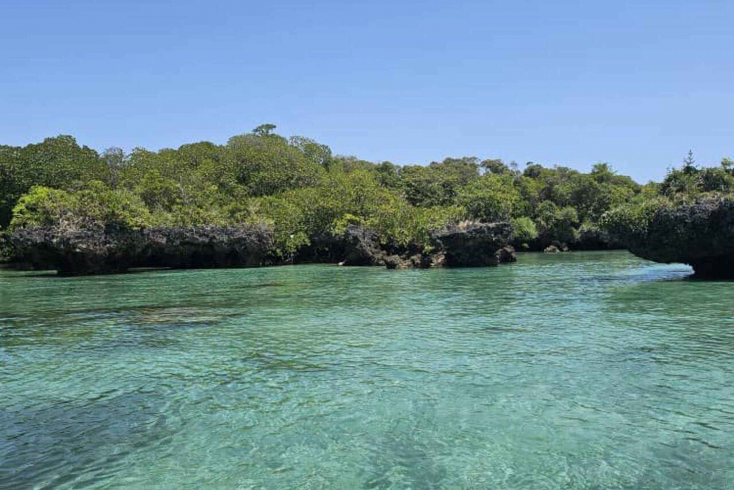 VON KENDWA; Mnemba Schnorcheltour und Delfinbeobachtung