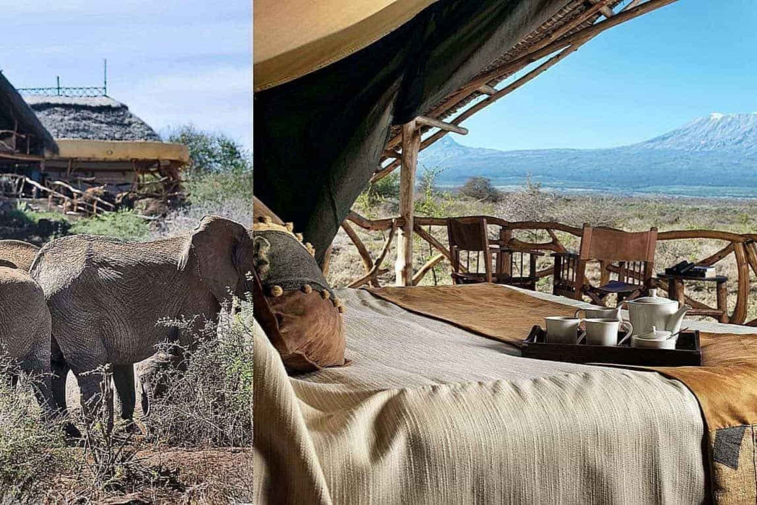 Из Найроби: 3-дневный тур по Амбосели