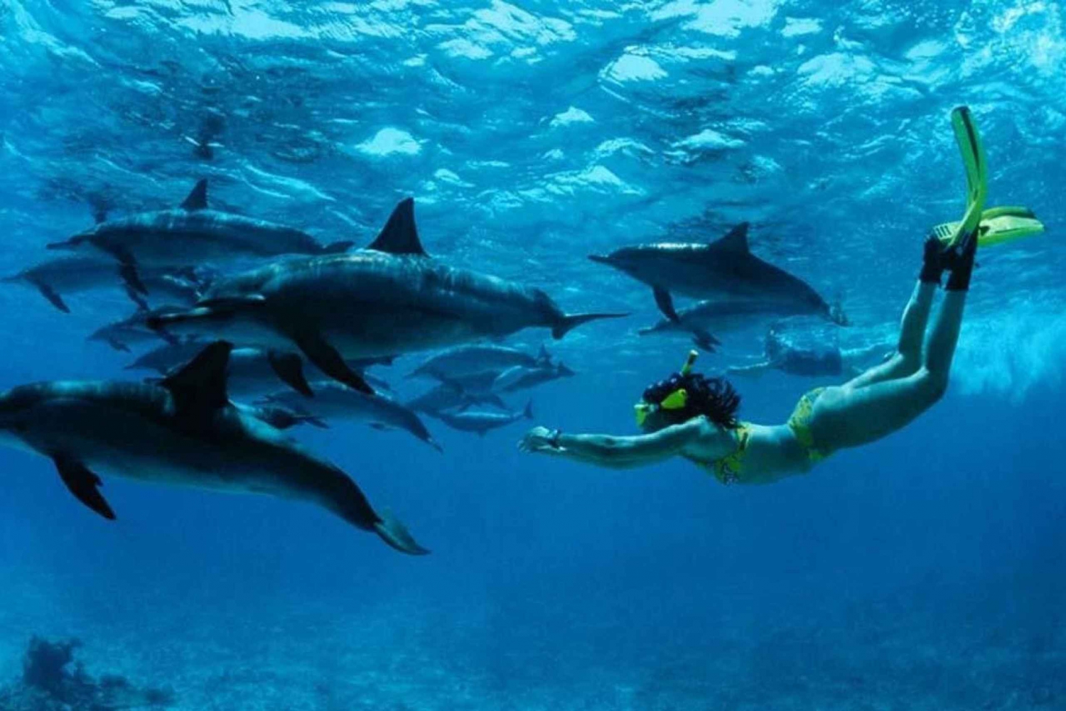 Из Нунгви: прогулка на лодке Мнемба и приключение с дельфинами