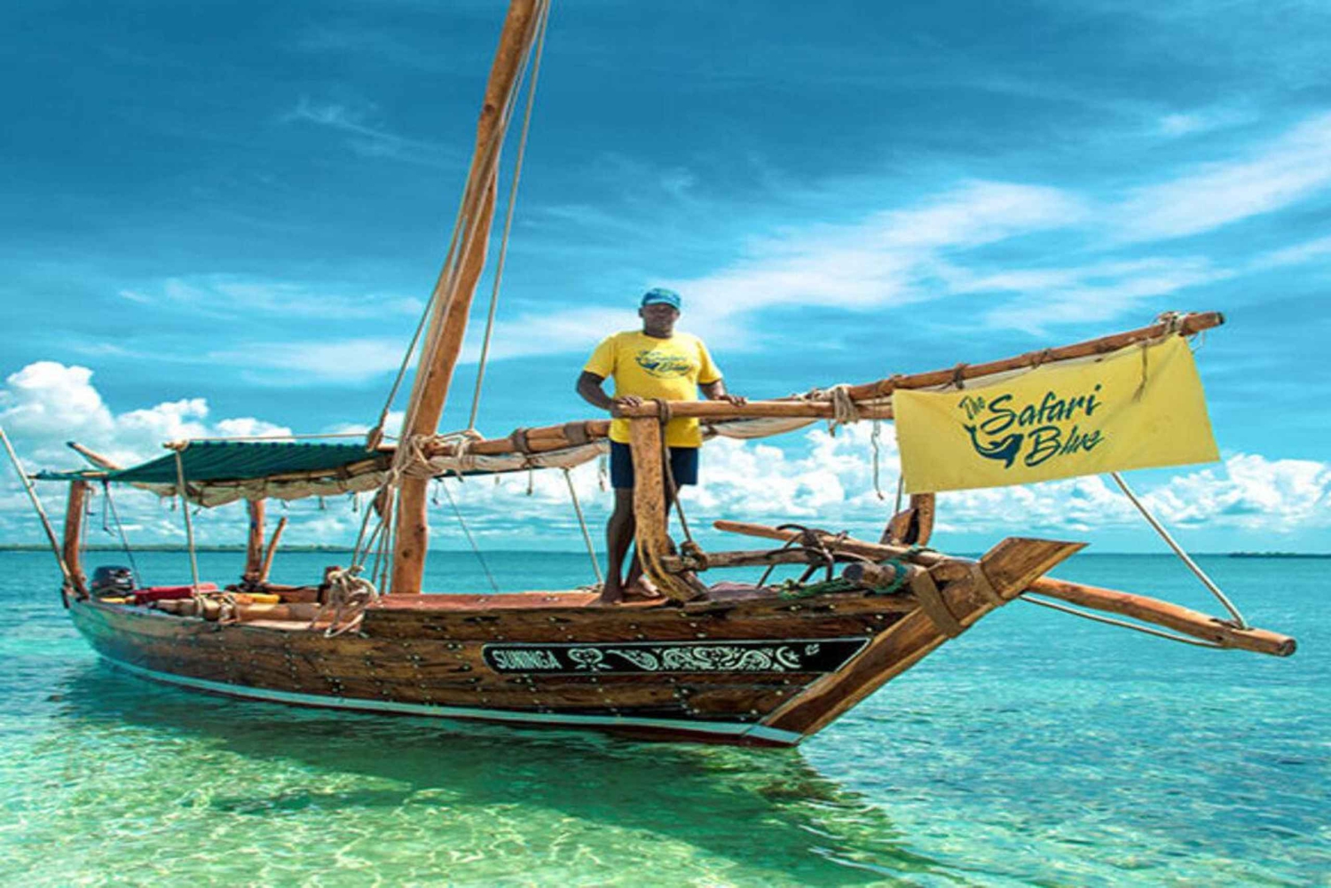 Z nungwi: Safari Blue Tour z nurkowaniem i lunchem