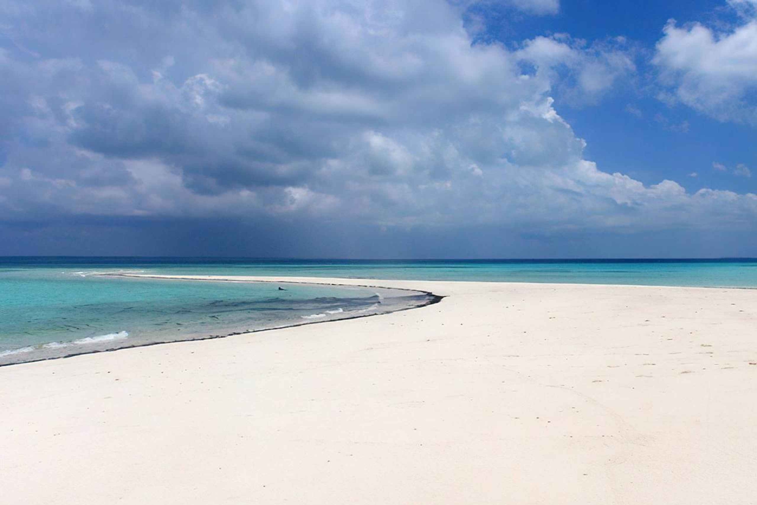 Vanuit Utende: snorkeltrip naar de zandbank van Marimbani met barbecue