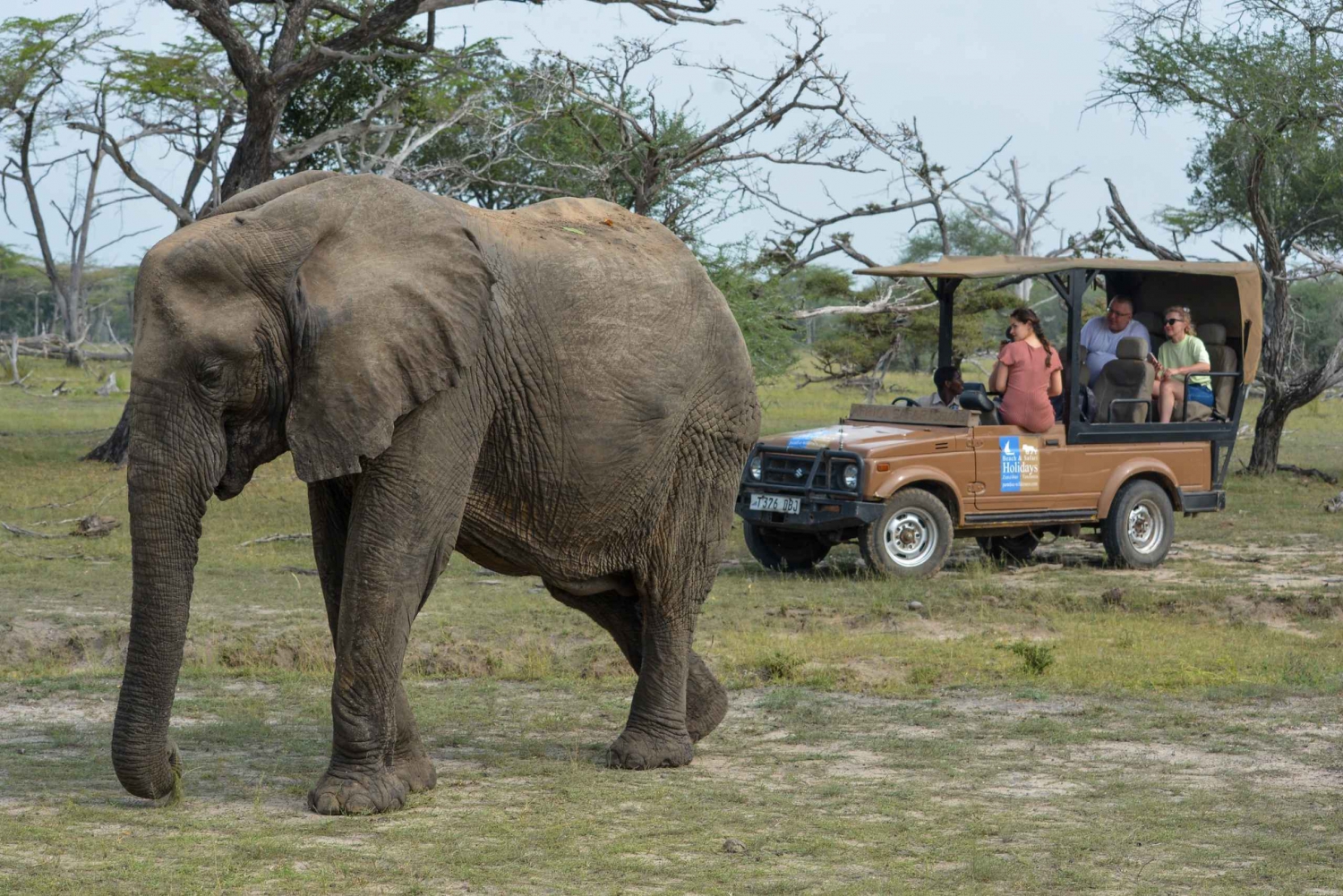A partir de Zanzibar: Viagem de 3 dias ao Selous Safari com voos