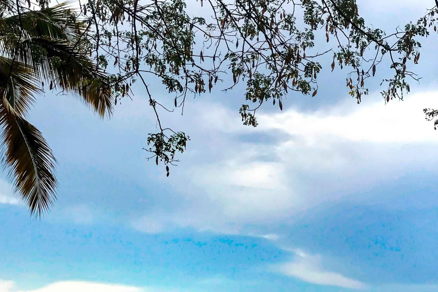 Kigoma: wycieczka po jeziorze Tanganika i przejażdżka kajakiem