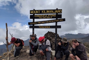 Kilimanjaro: Shiran ylätasangolta katedraalipisteeseen 3872m Päiväretki