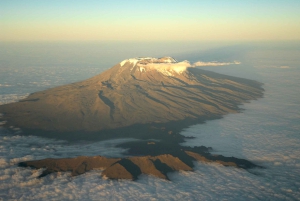 Kilimanjaro: Shiran ylätasangolta katedraalipisteeseen 3872m Päiväretki