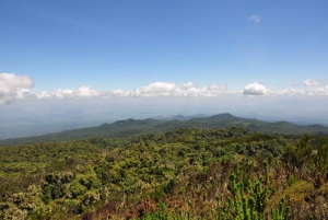 Kilimanjaro: Shiran ylätasangolta katedraalipisteeseen 3872m Päiväretki