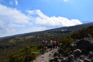 Kilimanjaro: Shiran ylätasangolta katedraalipisteeseen 3872m Päiväretki