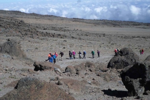 Kilimanjaro: Shiran ylätasangolta katedraalipisteeseen 3872m Päiväretki