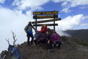 Kilimanjaro: Shiran ylätasangolta katedraalipisteeseen 3872m Päiväretki