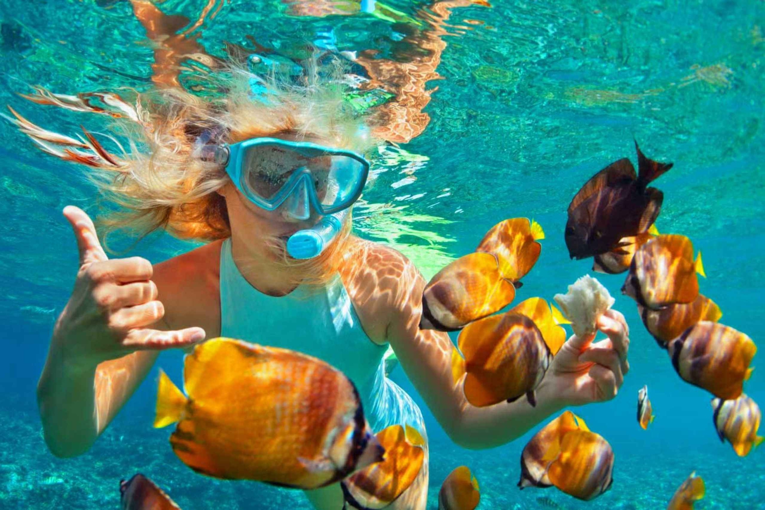 Kizimkazi Snorkeling and Dolphin full-day tour with BBQ