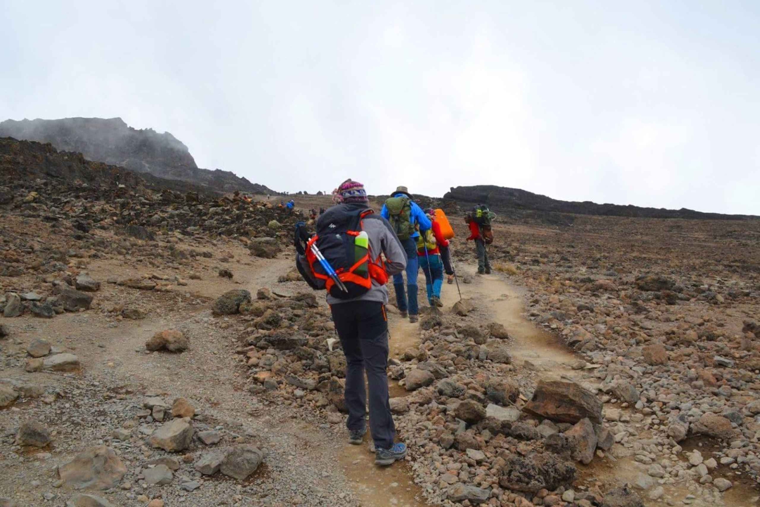 Lemosho Route 10 Days/ 9 Nights 8 Days on the Mountain.