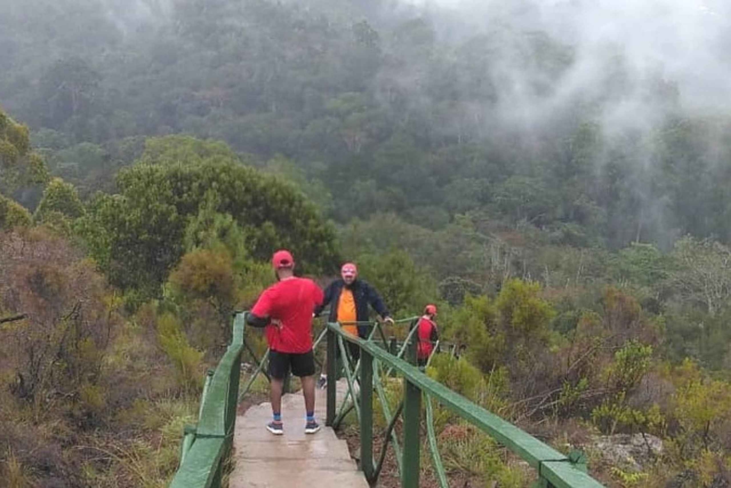 Zanzibar: spacer po lesie Jozani z czerwonymi małpami kolbusami
