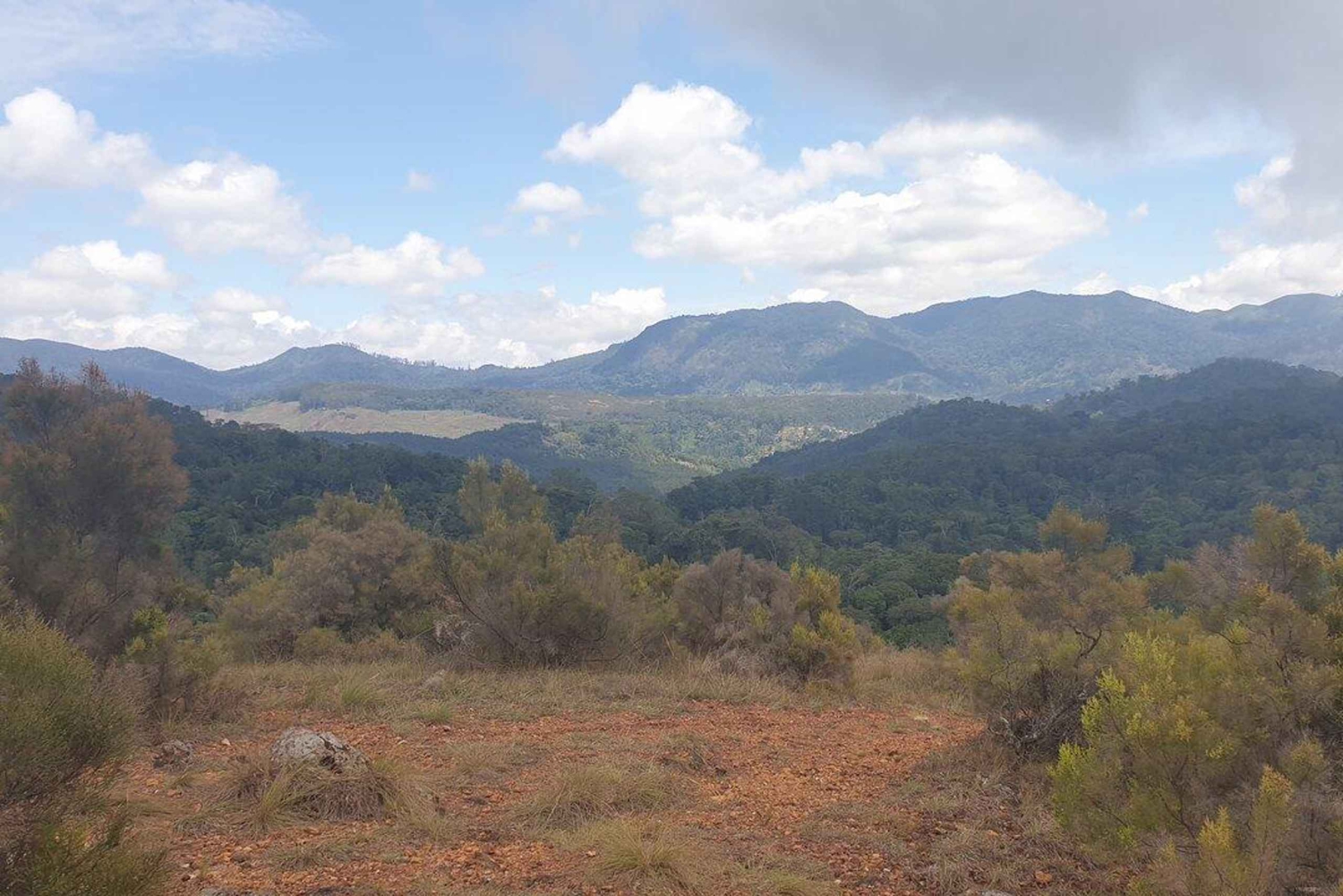 Zanzibar: foresta di Jozani, grotta di Salaam e tour della spiaggia di Mtende