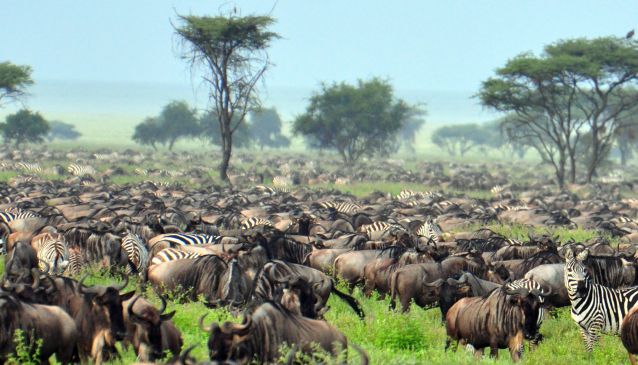 Maasai Flag Expeditions, Ltd