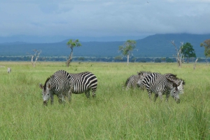 Национальный парк Микуми: сафари на 3 дня и 2 ночи