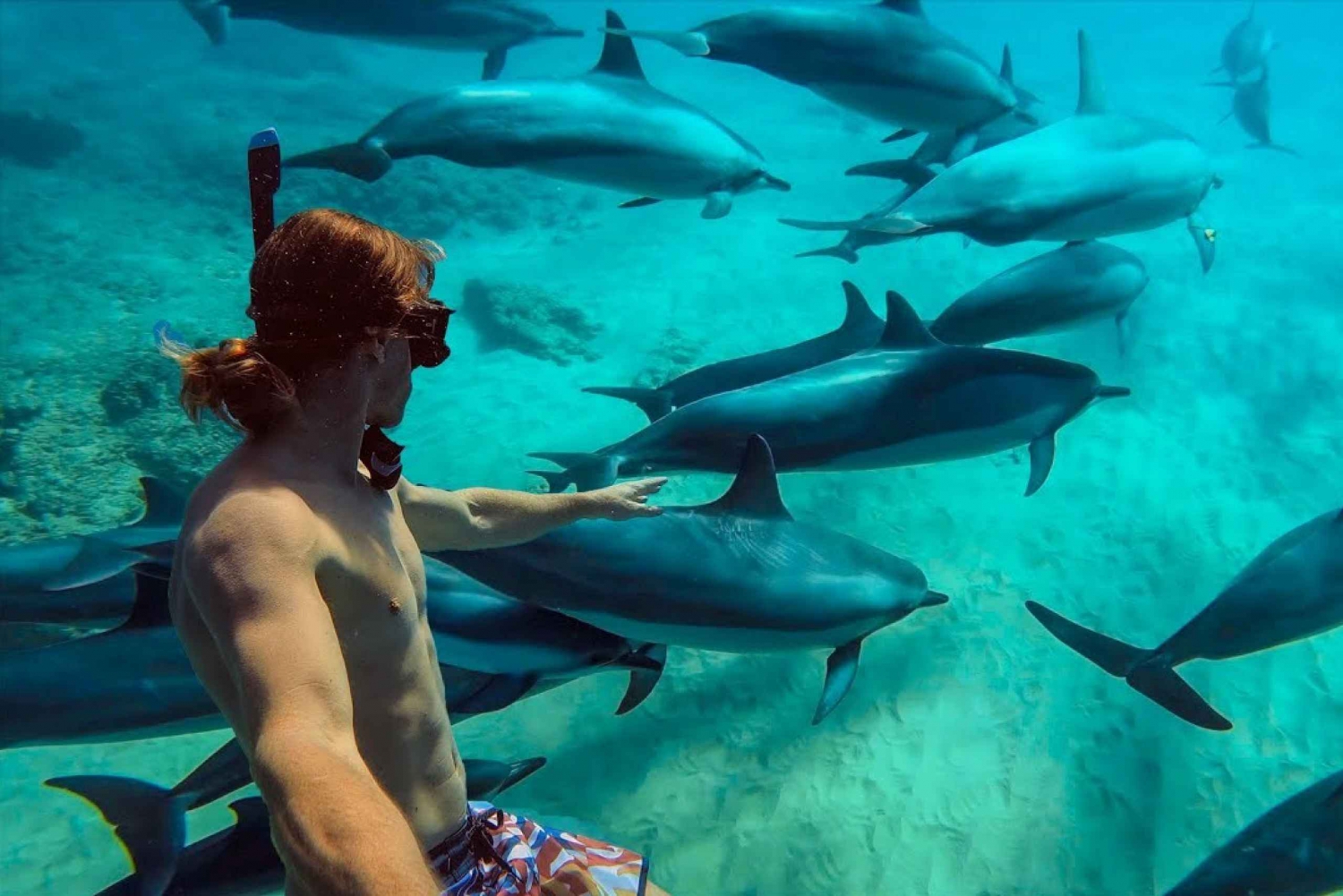 アフリカのモルディブ、ムネンバ島1日ツアー（ランチオプション付き）