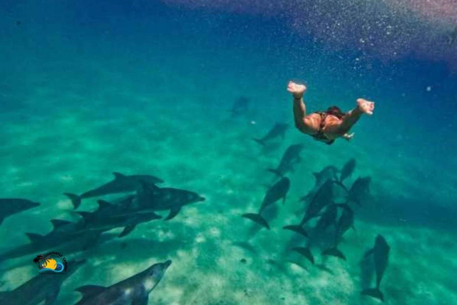 Nungwi : Nagez et faites de la plongée en apnée avec les tortues à The Lagoons Zanzibar