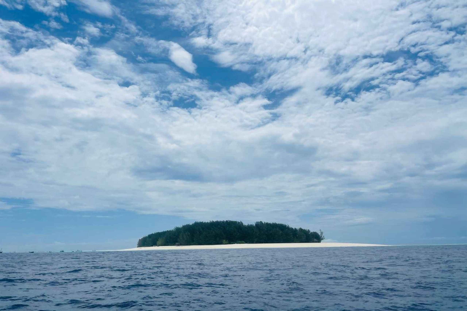 Delfintur på Mnemba Island, Kendwa Beach med bådtur ved solnedgang