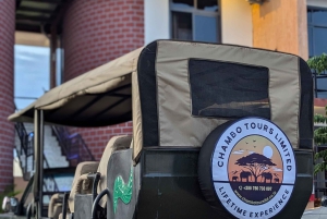 Morogoro: 3-dagars safari i Ruaha National Park med boende