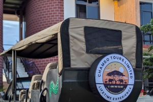 Morogoro: 3-dagars safari i Ruaha National Park med boende