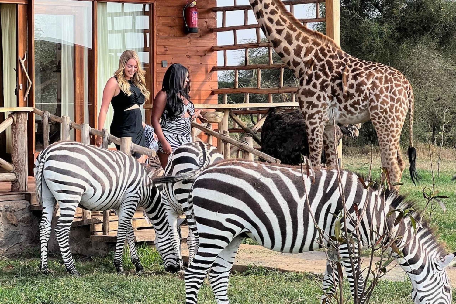 Моши: тур по дикой природе Сервала с едой и напитками