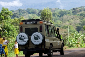 Mwanza: safari de 3 días a la isla Rubondo con senderismo para ver chimpancés