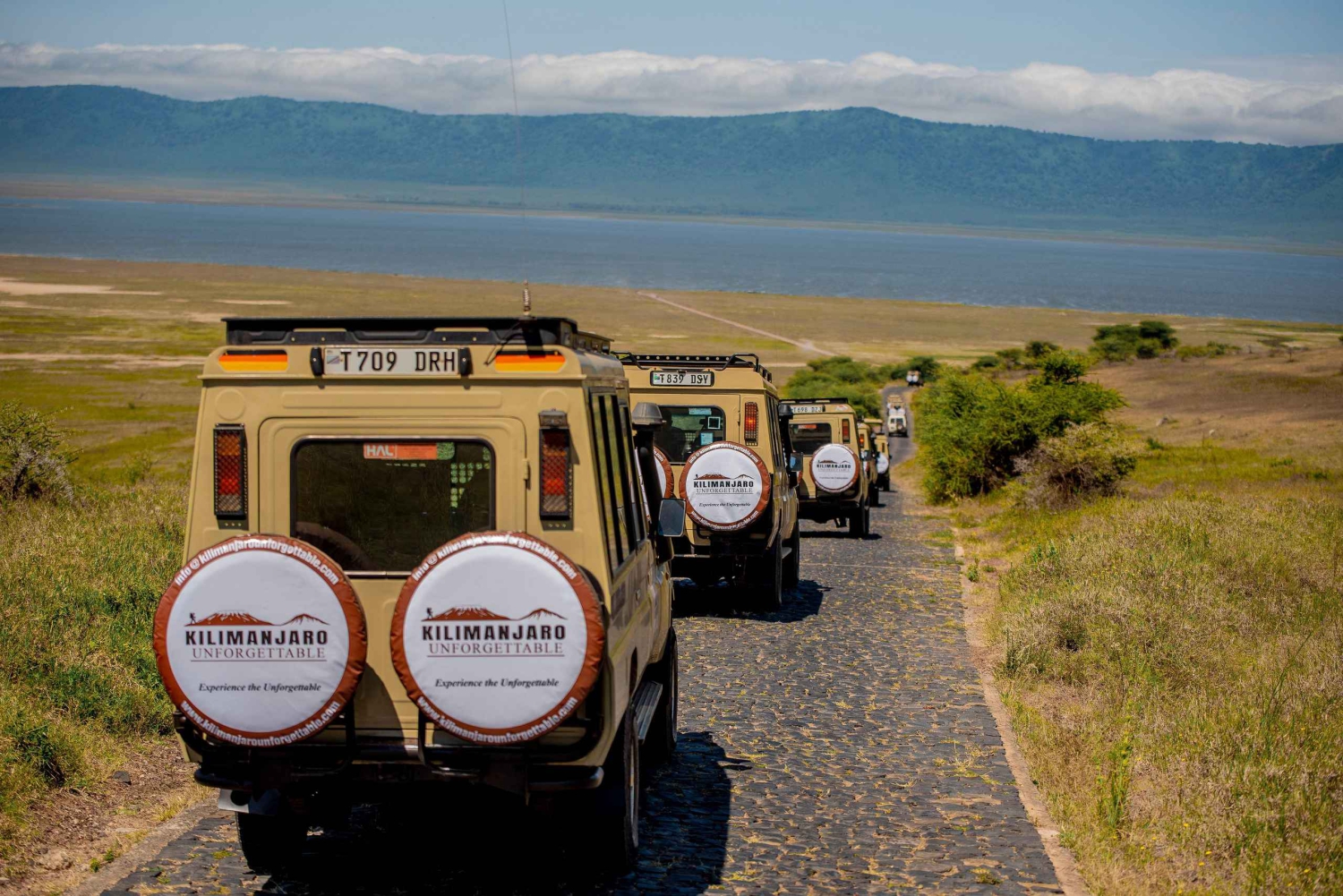 Dagsudflugt til Ngorongoro Conservation Area