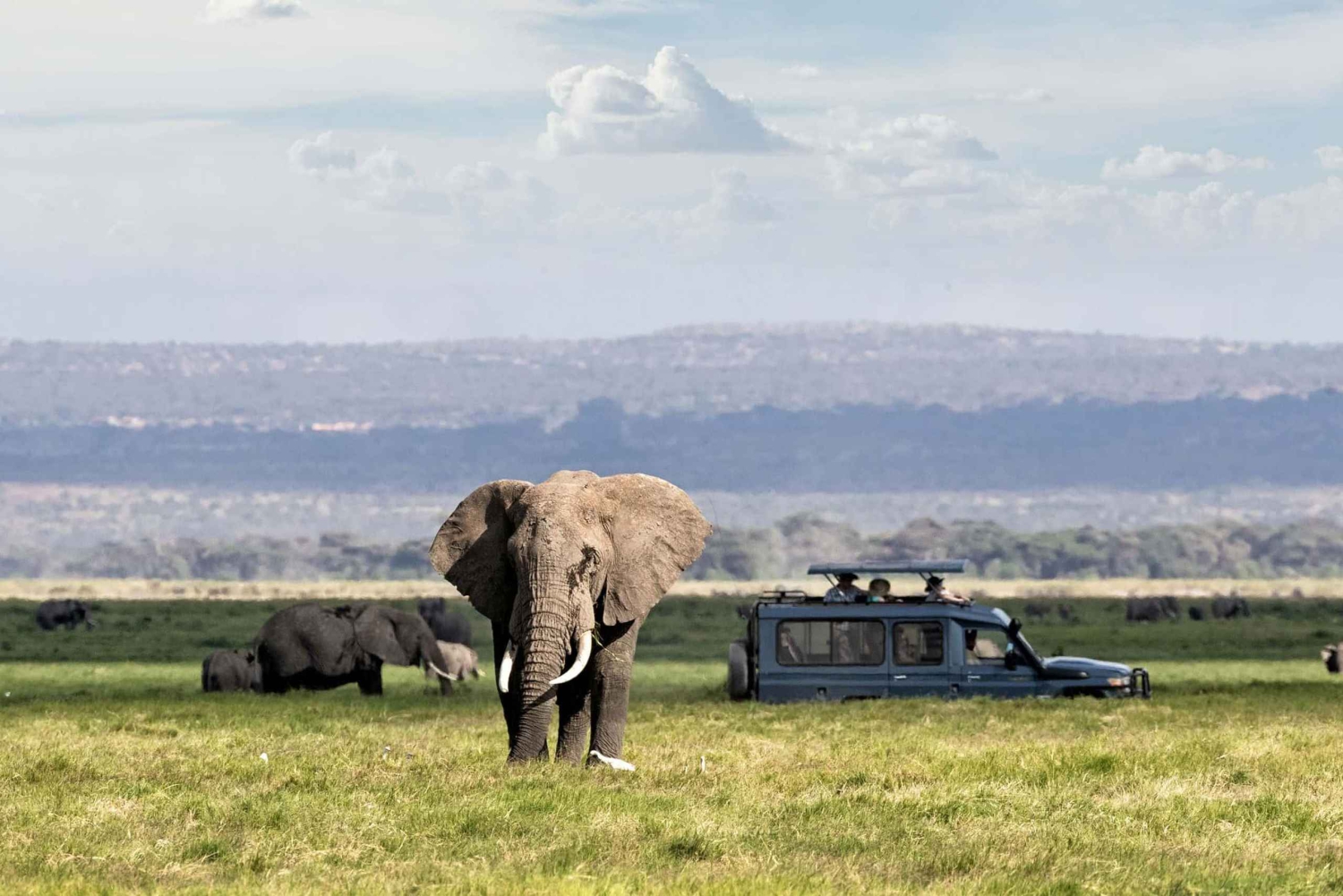 Ngorongoro Krater Tagestour Gruppensafari.