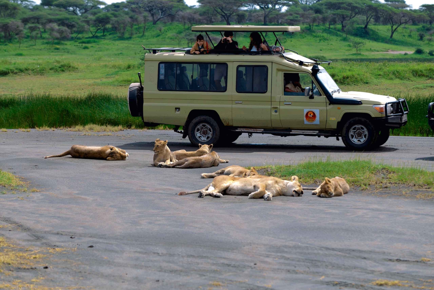 Ngorongoro-krater: dagvullende safaritour