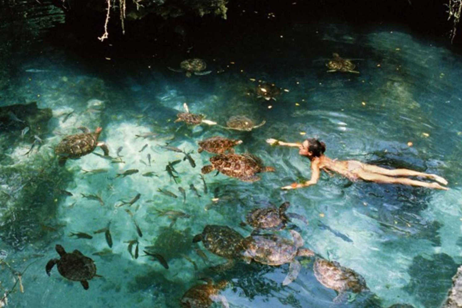 Gefängnisinsel + Nakupenda-Sandbank & Stone Town: Entdecke die Highlights von Sansibar