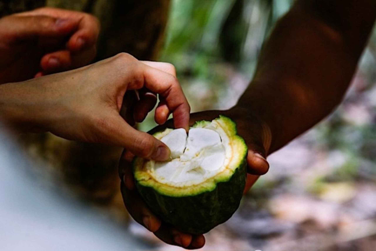ザンジバルのプリズン島、ナクペンダ、ストーンタウンのツアー（BBQ付き）をご覧ください