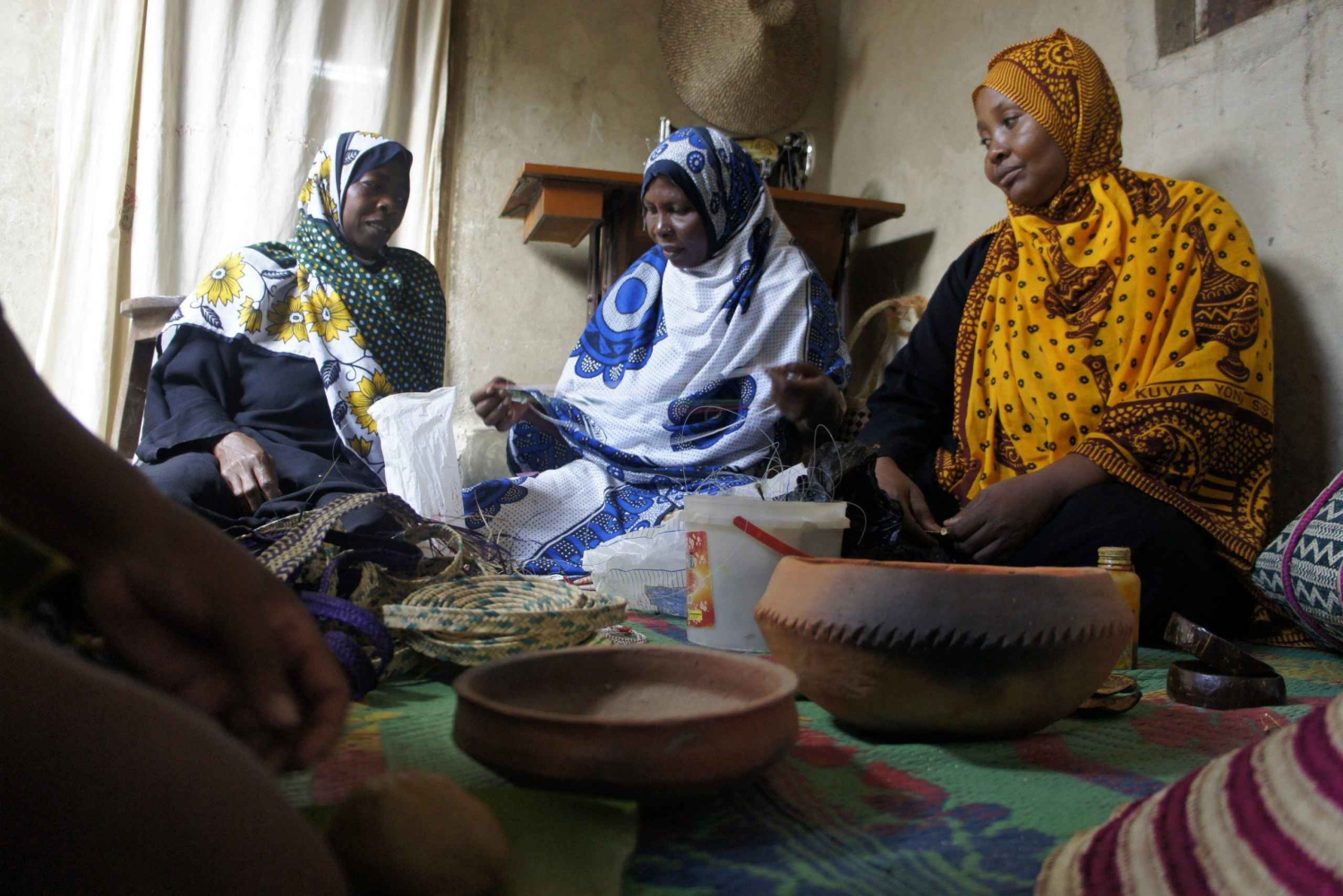 Sansibar: Entdecke den Jozani-Wald