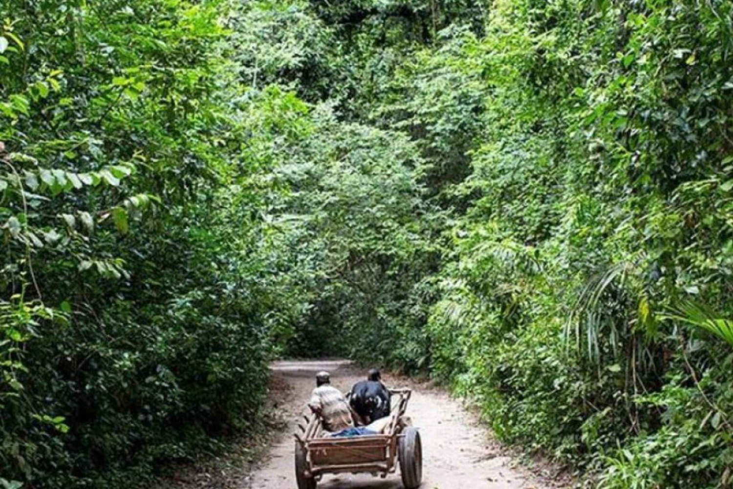 Zanzibar: Swim in Saalam Cave & Explore Mtende Beach Paradis