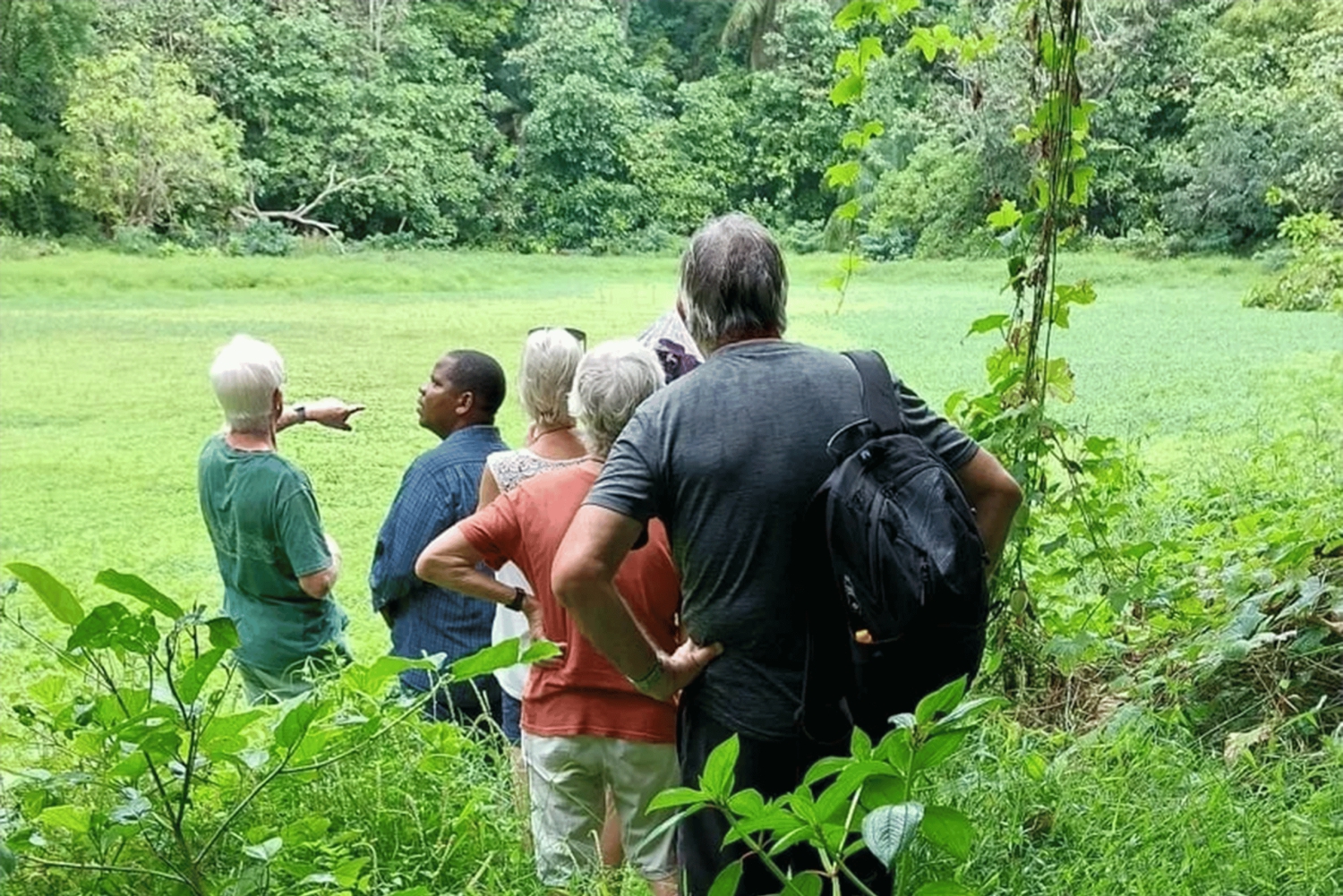 Pemba Island: Makangale Village Tour med guide